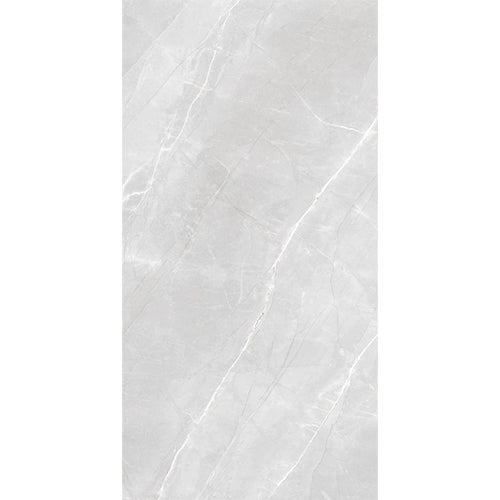 Aarmani Grey Polished Wall And Floor Porcelain Tiles 60cmx120cm