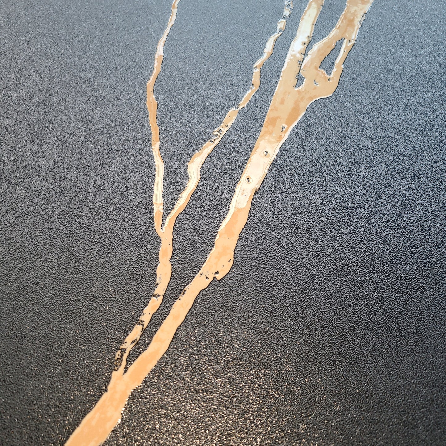 Kosmo Sugar Golden Black Glitter Shimmer Wall And Floor Tiles 60cmx120cm