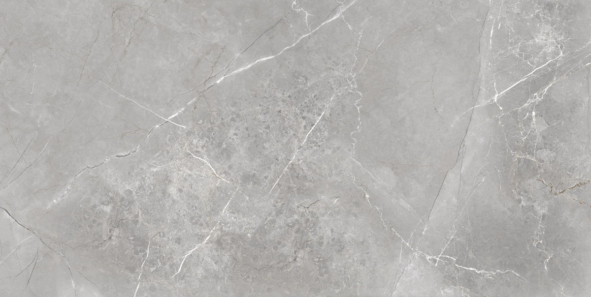 Pallet 43m2 Aarmani Grey Polished Wall And Floor Porcelain Tiles 60cmx120cm