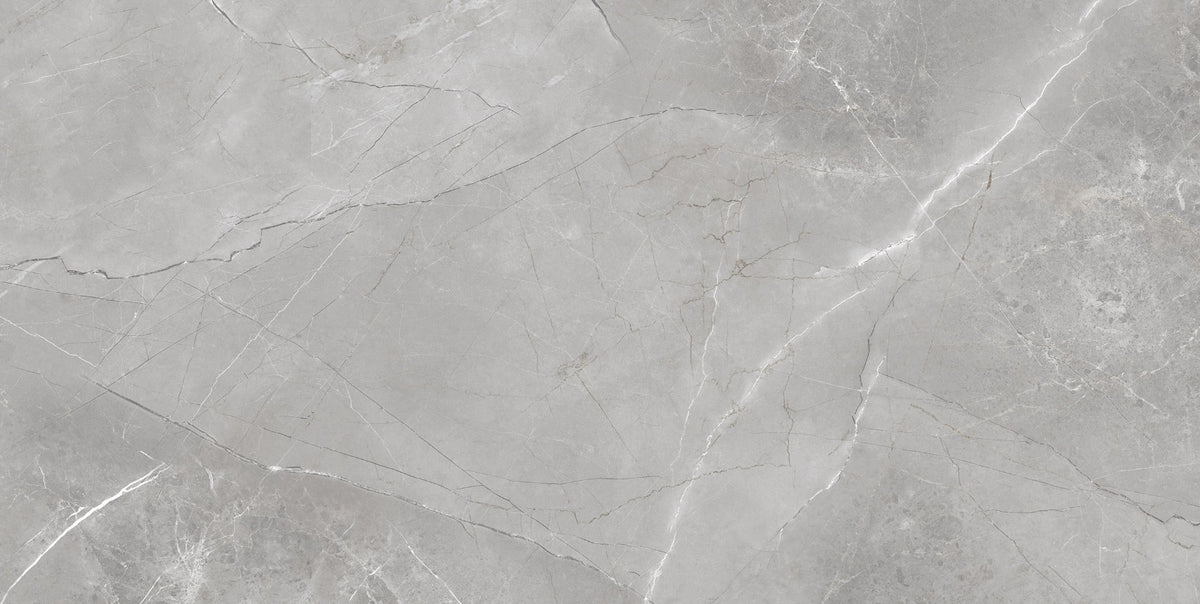 Pallet 43m2 Aarmani Grey Polished Wall And Floor Porcelain Tiles 60cmx120cm