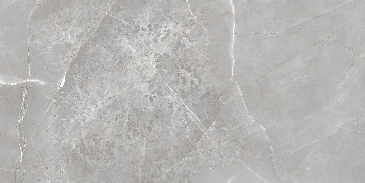 Pallet 43m2 Aarmani Grey Polished Wall And Floor Porcelain Tiles 60cmx120cm
